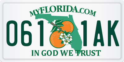 FL license plate 0611AK