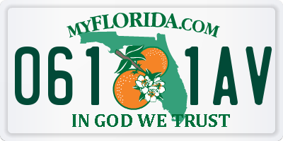FL license plate 0611AV
