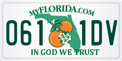 FL license plate 0611DV