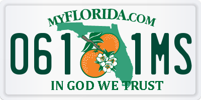 FL license plate 0611MS