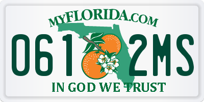 FL license plate 0612MS
