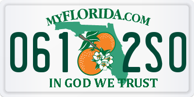 FL license plate 0612SO