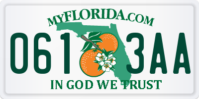 FL license plate 0613AA