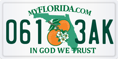 FL license plate 0613AK