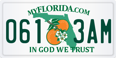 FL license plate 0613AM