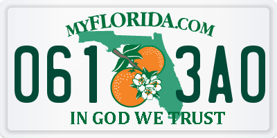 FL license plate 0613AO