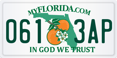 FL license plate 0613AP