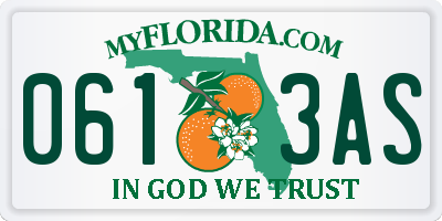 FL license plate 0613AS