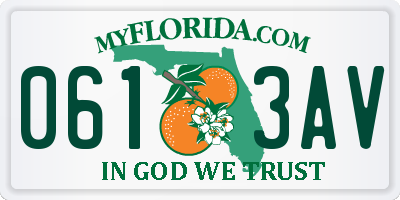 FL license plate 0613AV