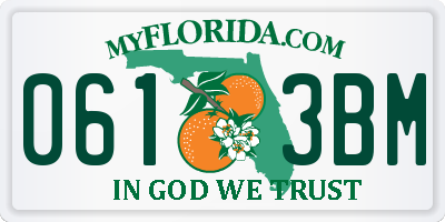 FL license plate 0613BM