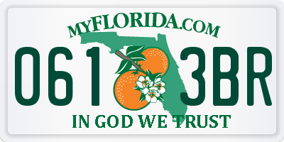 FL license plate 0613BR
