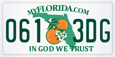 FL license plate 0613DG
