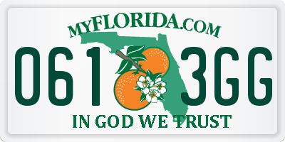 FL license plate 0613GG