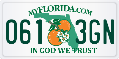 FL license plate 0613GN