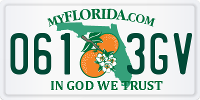 FL license plate 0613GV