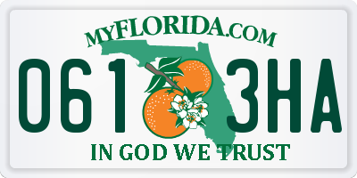 FL license plate 0613HA