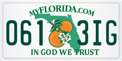 FL license plate 0613IG