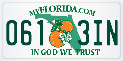 FL license plate 0613IN