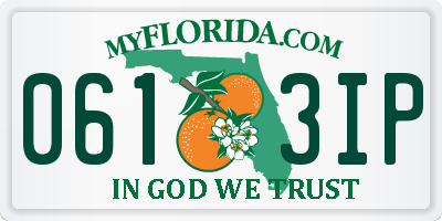 FL license plate 0613IP