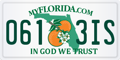 FL license plate 0613IS