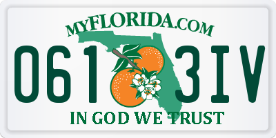 FL license plate 0613IV