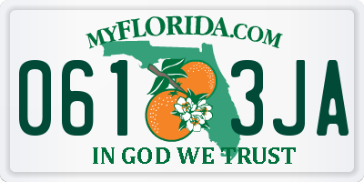 FL license plate 0613JA