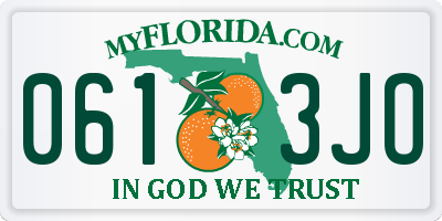 FL license plate 0613JO