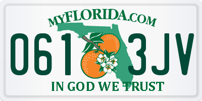 FL license plate 0613JV