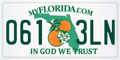 FL license plate 0613LN