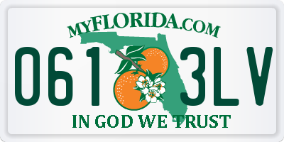 FL license plate 0613LV