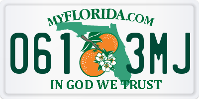 FL license plate 0613MJ