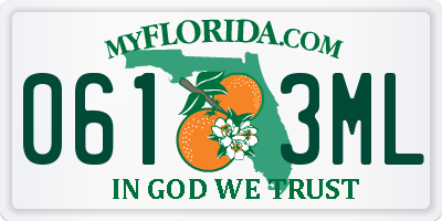 FL license plate 0613ML