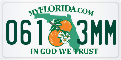 FL license plate 0613MM