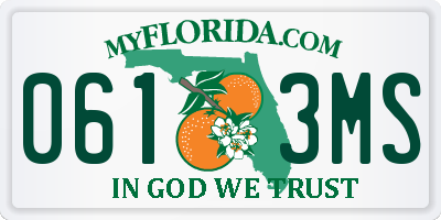FL license plate 0613MS