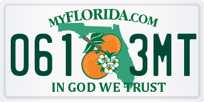 FL license plate 0613MT