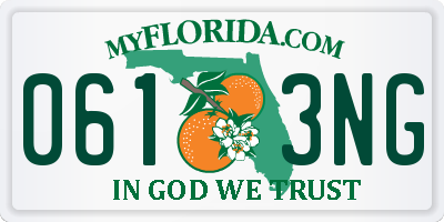 FL license plate 0613NG
