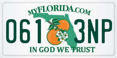FL license plate 0613NP