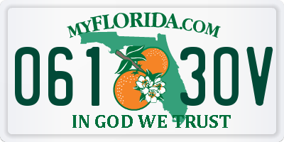 FL license plate 0613OV