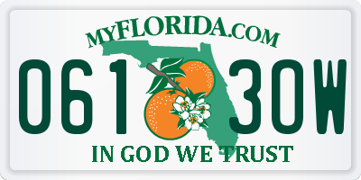 FL license plate 0613OW