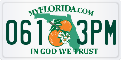 FL license plate 0613PM
