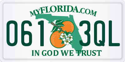 FL license plate 0613QL