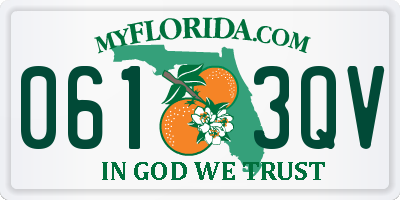 FL license plate 0613QV