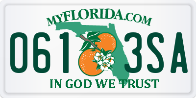 FL license plate 0613SA
