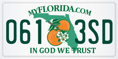 FL license plate 0613SD