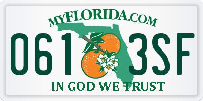 FL license plate 0613SF