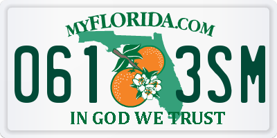FL license plate 0613SM