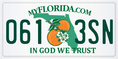 FL license plate 0613SN
