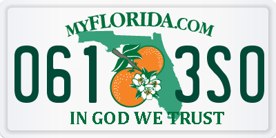 FL license plate 0613SO
