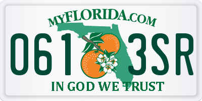 FL license plate 0613SR