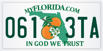 FL license plate 0613TA